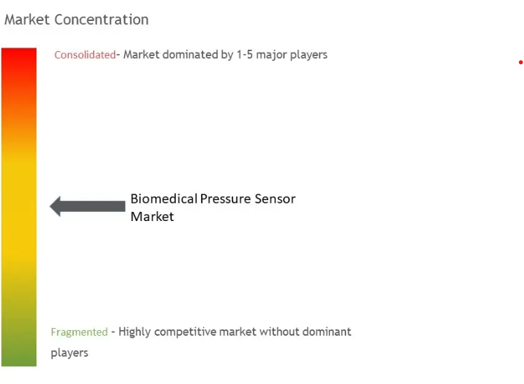 Biomedical Pressure Sensors Market Concentration